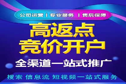 SEM推广案例：数据分析与优化